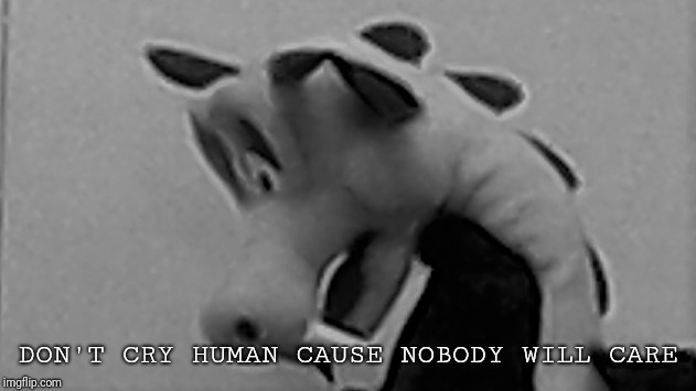 depressing dragon | DON'T CRY HUMAN CAUSE NOBODY WILL CARE | image tagged in depressing dragon | made w/ Imgflip meme maker