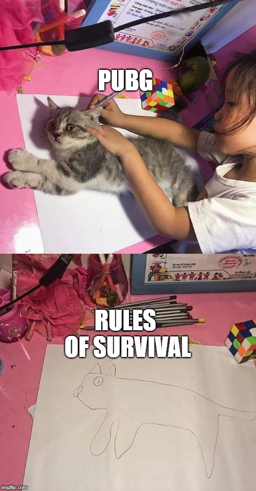 Cat Trace | PUBG; RULES OF SURVIVAL | image tagged in cat trace | made w/ Imgflip meme maker