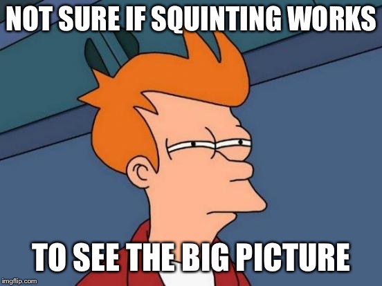 Futurama Fry Meme | NOT SURE IF SQUINTING WORKS; TO SEE THE BIG PICTURE | image tagged in memes,futurama fry | made w/ Imgflip meme maker