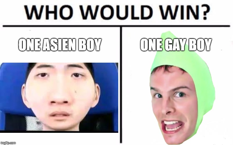 epic battle | ONE ASIEN BOY; ONE GAY BOY | image tagged in memes,who would win | made w/ Imgflip meme maker