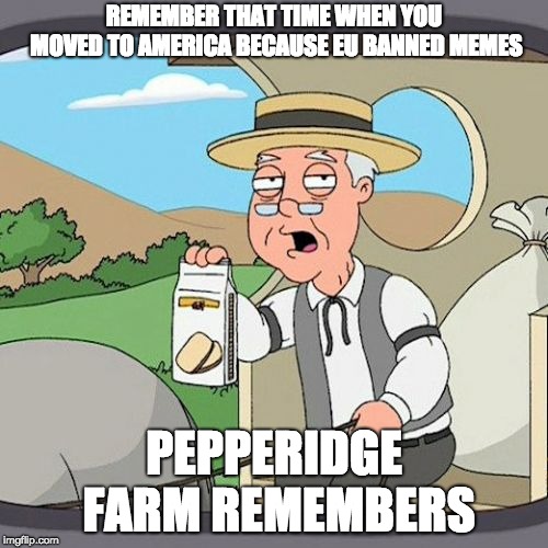 Pepperidge Farm Remembers | REMEMBER THAT TIME WHEN YOU MOVED TO AMERICA BECAUSE EU BANNED MEMES; PEPPERIDGE FARM REMEMBERS | image tagged in memes,pepperidge farm remembers | made w/ Imgflip meme maker