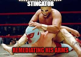 mexican wrestlers | STINGATOR; REMEDIATING HIS ARMS | image tagged in mexican wrestlers | made w/ Imgflip meme maker