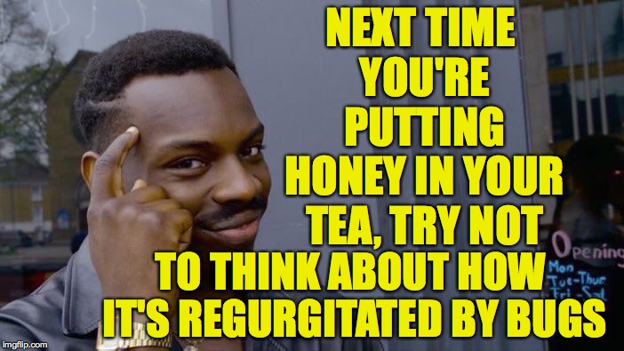 Swet Expectorations | NEXT TIME YOU'RE PUTTING HONEY IN YOUR TEA, TRY NOT; TO THINK ABOUT HOW IT'S REGURGITATED BY BUGS | image tagged in memes,roll safe think about it,honey bug | made w/ Imgflip meme maker
