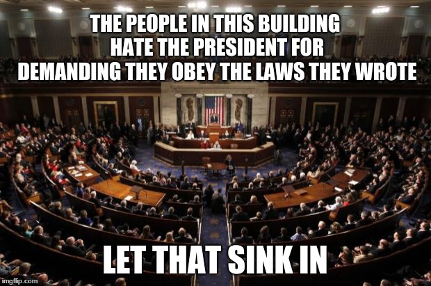 congress | THE PEOPLE IN THIS BUILDING HATE THE PRESIDENT FOR DEMANDING THEY OBEY THE LAWS THEY WROTE; LET THAT SINK IN | image tagged in congress | made w/ Imgflip meme maker