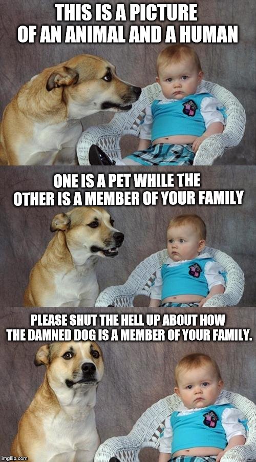 Dad Joke Dog Meme | THIS IS A PICTURE OF AN ANIMAL AND A HUMAN; ONE IS A PET WHILE THE OTHER IS A MEMBER OF YOUR FAMILY; PLEASE SHUT THE HELL UP ABOUT HOW THE DAMNED DOG IS A MEMBER OF YOUR FAMILY. | image tagged in memes,dad joke dog | made w/ Imgflip meme maker