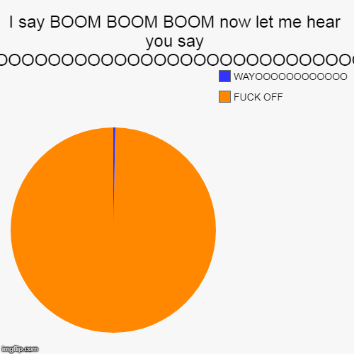 I say BOOM BOOM BOOM now let me hear you say WAYOOOOOOOOOOOOOOOOOOOOOOOOOOOOOO | F**K OFF , WAYOOOOOOOOOOOO | image tagged in funny,pie charts | made w/ Imgflip chart maker