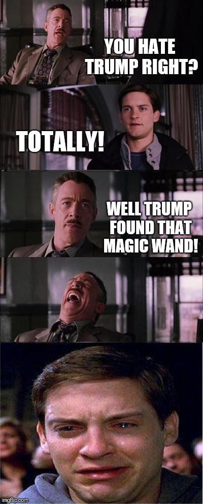 Peter Parker Cry | YOU HATE TRUMP RIGHT? TOTALLY! WELL TRUMP FOUND THAT MAGIC WAND! | image tagged in memes,peter parker cry | made w/ Imgflip meme maker