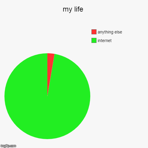 my life | internet, anything else | image tagged in funny,pie charts | made w/ Imgflip chart maker