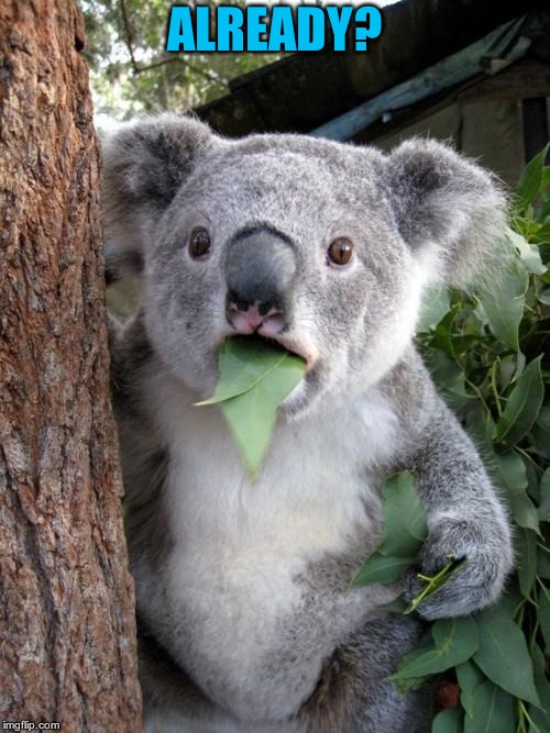 Surprised Koala Meme | ALREADY? | image tagged in memes,surprised koala | made w/ Imgflip meme maker