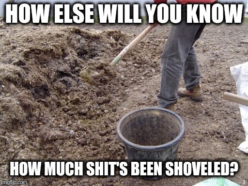 HOW ELSE WILL YOU KNOW HOW MUCH SHIT'S BEEN SHOVELED? | made w/ Imgflip meme maker