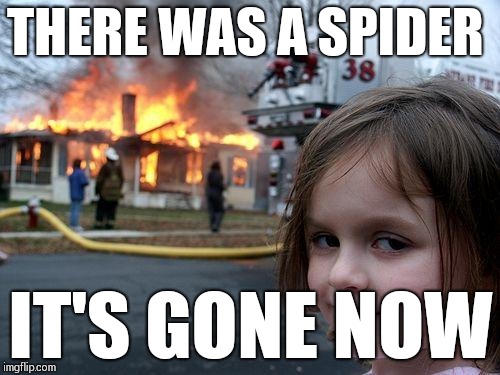 Disaster Girl | THERE WAS A SPIDER; IT'S GONE NOW | image tagged in memes,disaster girl | made w/ Imgflip meme maker