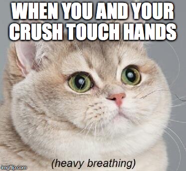 Heavy Breathing Cat Meme | WHEN YOU AND YOUR CRUSH TOUCH HANDS | image tagged in memes,heavy breathing cat | made w/ Imgflip meme maker