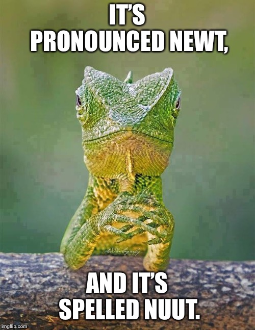 Sarcastic Lizard | IT’S PRONOUNCED NEWT, AND IT’S SPELLED NUUT. | image tagged in sarcastic lizard | made w/ Imgflip meme maker