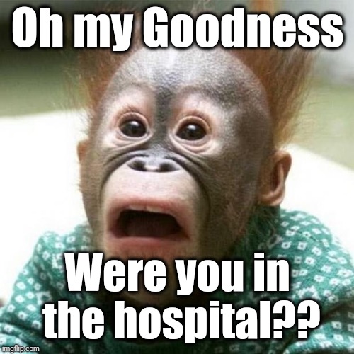 Shocked Monkey | Oh my Goodness Were you in the hospital?? | image tagged in shocked monkey | made w/ Imgflip meme maker