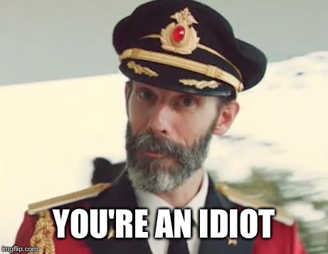 Captain Obvious | YOU'RE AN IDIOT | image tagged in captain obvious | made w/ Imgflip meme maker