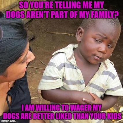 Third World Skeptical Kid Meme | SO YOU'RE TELLING ME MY DOGS AREN'T PART OF MY FAMILY? I AM WILLING TO WAGER MY DOGS ARE BETTER LIKED THAN YOUR KIDS | image tagged in memes,third world skeptical kid | made w/ Imgflip meme maker