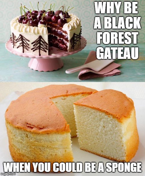 Black forest gateau Sponge | WHY BE A BLACK FOREST GATEAU; WHEN YOU COULD BE A SPONGE | image tagged in politics | made w/ Imgflip meme maker