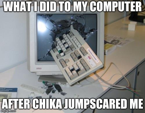 FNAF rage | WHAT I DID TO MY COMPUTER; AFTER CHIKA JUMPSCARED ME | image tagged in fnaf rage | made w/ Imgflip meme maker