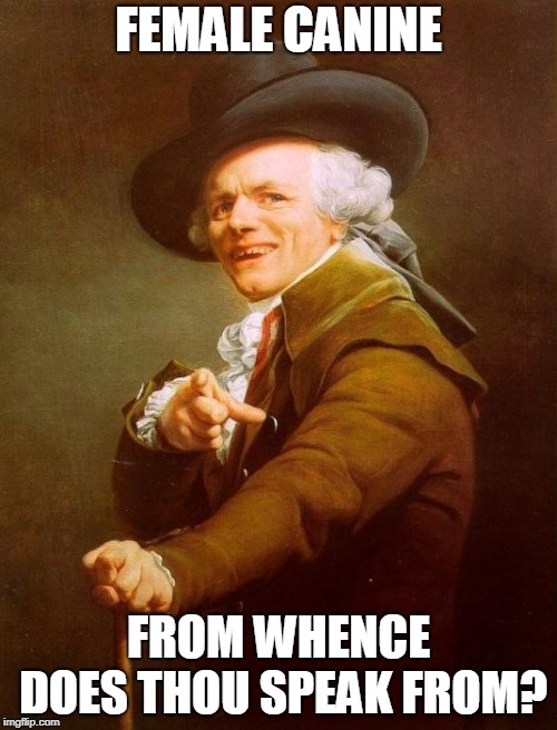 Joseph Ducreux Meme | FEMALE CANINE; FROM WHENCE DOES THOU SPEAK FROM? | image tagged in memes,joseph ducreux | made w/ Imgflip meme maker