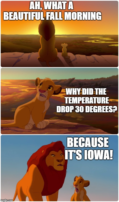 Lion King Meme | AH, WHAT A BEAUTIFUL FALL MORNING; WHY DID THE TEMPERATURE DROP 30 DEGREES? BECAUSE IT'S IOWA! | image tagged in lion king meme | made w/ Imgflip meme maker