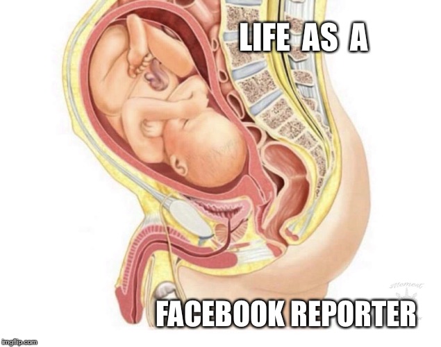 LIFE  AS  A; FACEBOOK REPORTER | image tagged in facebook reporting | made w/ Imgflip meme maker
