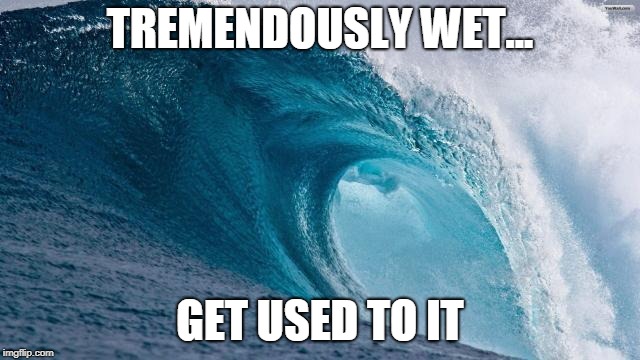 Blue Wave |  TREMENDOUSLY WET... GET USED TO IT | image tagged in blue wave | made w/ Imgflip meme maker