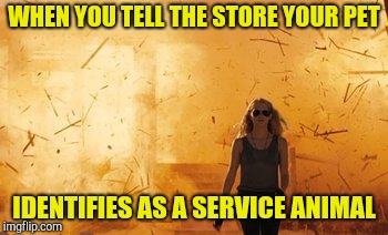 Walk from Burning  | WHEN YOU TELL THE STORE YOUR PET; IDENTIFIES AS A SERVICE ANIMAL | image tagged in walk from burning | made w/ Imgflip meme maker