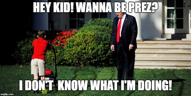 HEY KID! WANNA BE PREZ? I DON'T  KNOW WHAT I'M DOING! | image tagged in lawnboy joe | made w/ Imgflip meme maker