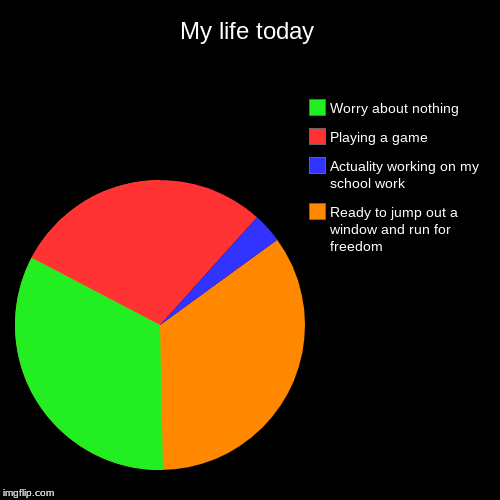 My life today | Ready to jump out a window and run for freedom, Actuality working on my school work , Playing a game, Worry about nothing | image tagged in funny,pie charts | made w/ Imgflip chart maker