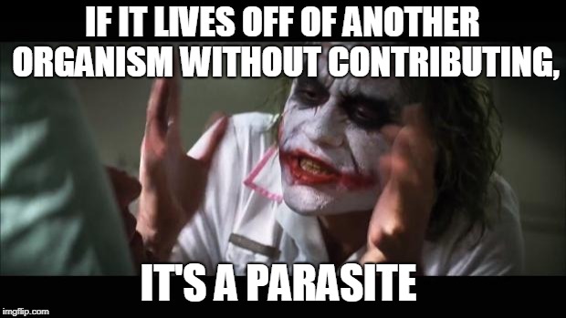 And everybody loses their minds Meme | IF IT LIVES OFF OF ANOTHER ORGANISM WITHOUT CONTRIBUTING, IT'S A PARASITE | image tagged in memes,and everybody loses their minds | made w/ Imgflip meme maker