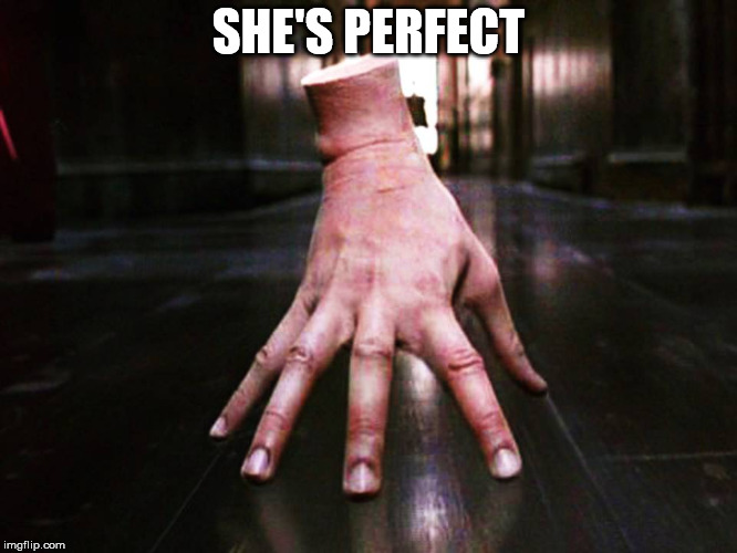 SHE'S PERFECT | made w/ Imgflip meme maker