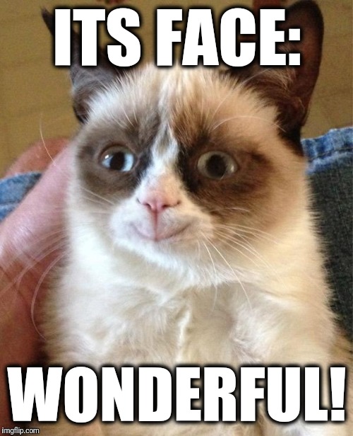 Grumpy Cat Happy Meme | ITS FACE: WONDERFUL! | image tagged in memes,grumpy cat happy,grumpy cat | made w/ Imgflip meme maker