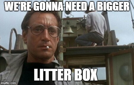 We're gonna need a bigger boat | WE'RE GONNA NEED A BIGGER LITTER BOX | image tagged in we're gonna need a bigger boat | made w/ Imgflip meme maker