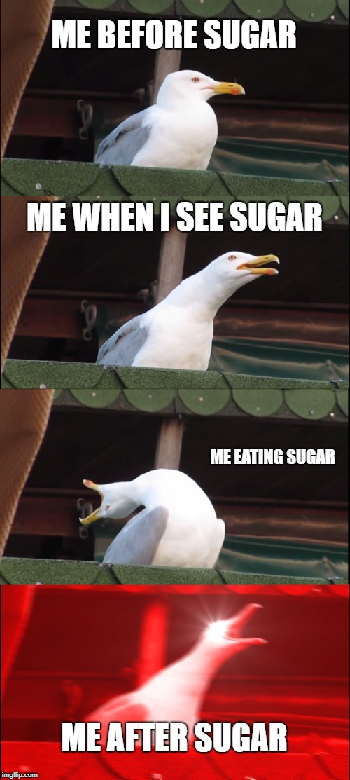 Inhaling Seagull | ME BEFORE SUGAR; ME WHEN I SEE SUGAR; ME EATING SUGAR; ME AFTER SUGAR | image tagged in memes,inhaling seagull | made w/ Imgflip meme maker