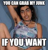 Ugly woman 2 | YOU CAN GRAB MY JUNK IF YOU WANT | image tagged in ugly woman 2 | made w/ Imgflip meme maker