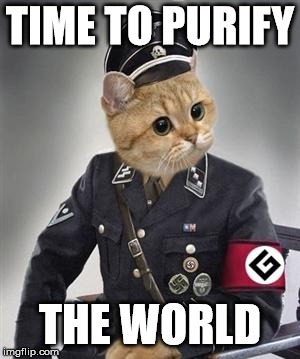 Grammar Nazi Cat | TIME TO PURIFY THE WORLD | image tagged in grammar nazi cat | made w/ Imgflip meme maker