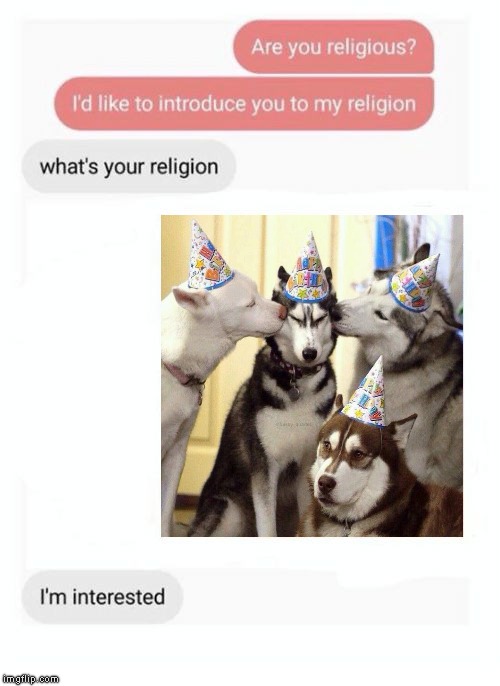 What's your religion | image tagged in what's your religion | made w/ Imgflip meme maker