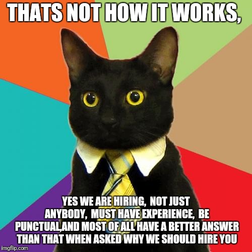 Business Cat Meme | THATS NOT HOW IT WORKS, YES WE ARE HIRING,  NOT JUST ANYBODY,  MUST HAVE EXPERIENCE,  BE PUNCTUAL,AND MOST OF ALL HAVE A BETTER ANSWER THAN  | image tagged in memes,business cat | made w/ Imgflip meme maker