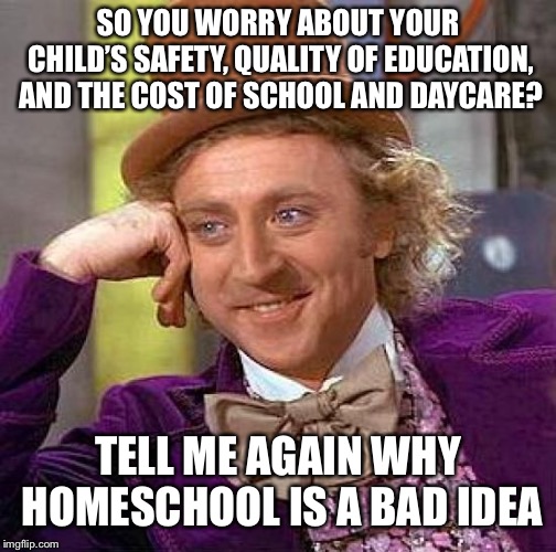 Creepy Condescending Wonka Meme | SO YOU WORRY ABOUT YOUR CHILD’S SAFETY, QUALITY OF EDUCATION, AND THE COST OF SCHOOL AND DAYCARE? TELL ME AGAIN WHY HOMESCHOOL IS A BAD IDEA | image tagged in memes,creepy condescending wonka | made w/ Imgflip meme maker