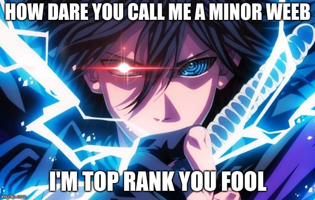 HOW DARE YOU CALL ME A MINOR WEEB; I'M TOP RANK YOU FOOL | image tagged in naruto | made w/ Imgflip meme maker