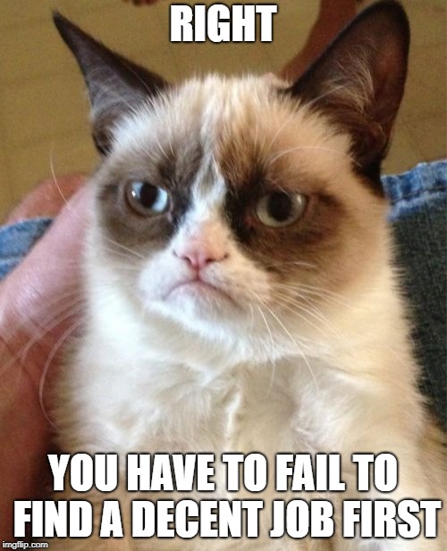 Grumpy Cat Meme | RIGHT YOU HAVE TO FAIL TO FIND A DECENT JOB FIRST | image tagged in memes,grumpy cat | made w/ Imgflip meme maker