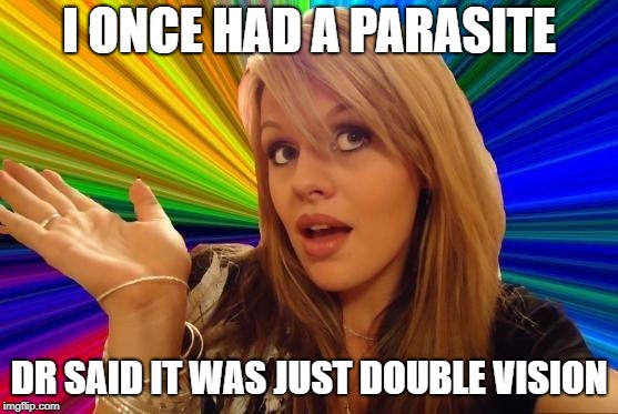 Dumb Blonde Meme | I ONCE HAD A PARASITE DR SAID IT WAS JUST DOUBLE VISION | image tagged in memes,dumb blonde | made w/ Imgflip meme maker