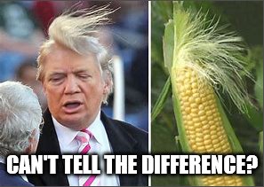 Corn or Trump | CAN'T TELL THE DIFFERENCE? | image tagged in memes | made w/ Imgflip meme maker