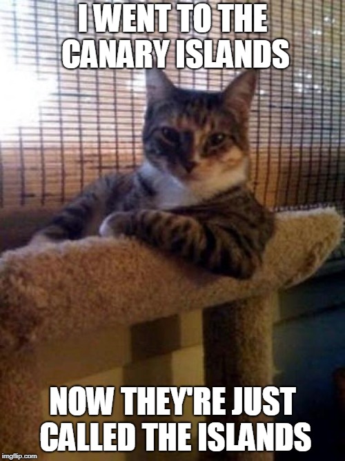 The Cat That Got the Canary (^◡^ ) |  I WENT TO THE CANARY ISLANDS; NOW THEY'RE JUST CALLED THE ISLANDS | image tagged in memes,the most interesting cat in the world,caturday,cat,cats,travel | made w/ Imgflip meme maker