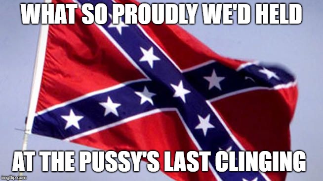 Confederate Flag | WHAT SO PROUDLY WE'D HELD AT THE PUSSY'S LAST CLINGING | image tagged in confederate flag | made w/ Imgflip meme maker