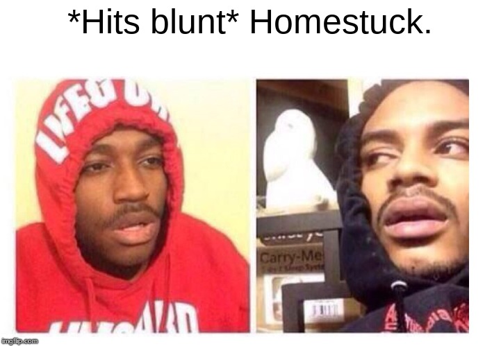 Hits blunt | *Hits blunt* Homestuck. | image tagged in hits blunt | made w/ Imgflip meme maker