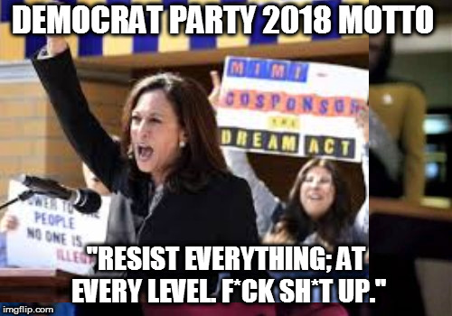 DEMOCRAT PARTY 2018 MOTTO; "RESIST EVERYTHING; AT EVERY LEVEL. F*CK SH*T UP." | made w/ Imgflip meme maker