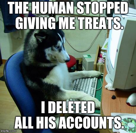 I Have No Idea What I Am Doing Meme | THE HUMAN STOPPED GIVING ME TREATS. I DELETED ALL HIS ACCOUNTS. | image tagged in memes,i have no idea what i am doing | made w/ Imgflip meme maker