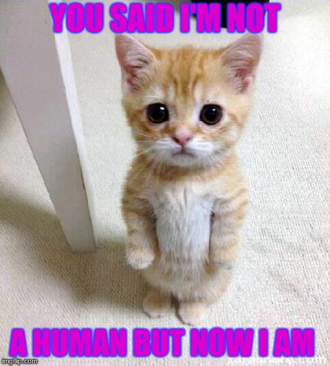 Cute Cat | YOU SAID I'M NOT; A HUMAN BUT NOW I AM | image tagged in memes,cute cat | made w/ Imgflip meme maker