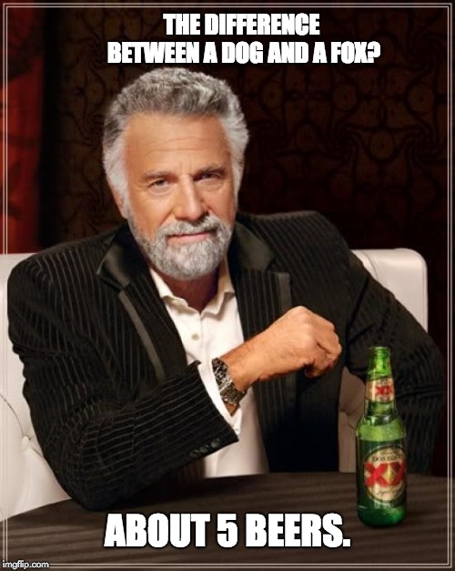 The Most Interesting Man In The World Meme | THE DIFFERENCE BETWEEN A DOG AND A FOX? ABOUT 5 BEERS. | image tagged in memes,the most interesting man in the world | made w/ Imgflip meme maker